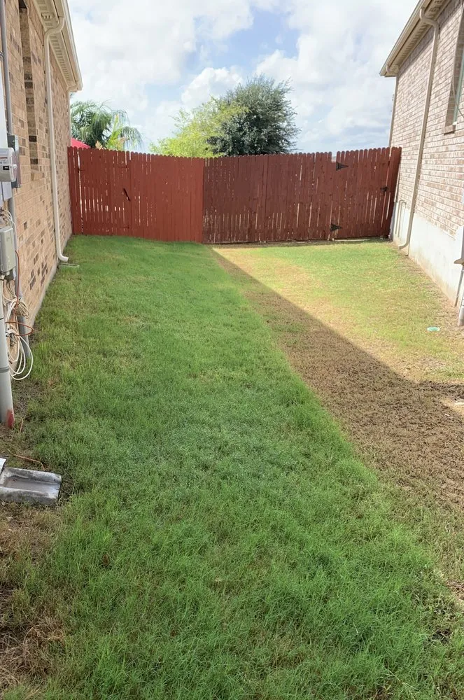 Local yard maintenance experts serving San Antonio, TX - Gorilla Tree & Lawn