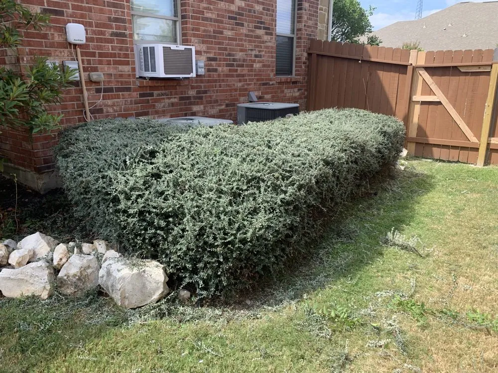 Expert landscape installation in San Antonio, TX by Gorilla Tree & Lawn