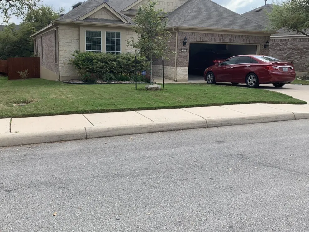 Professional landscape design for year-round maintenance in San Antonio, TX by Gorilla Tree & Lawn