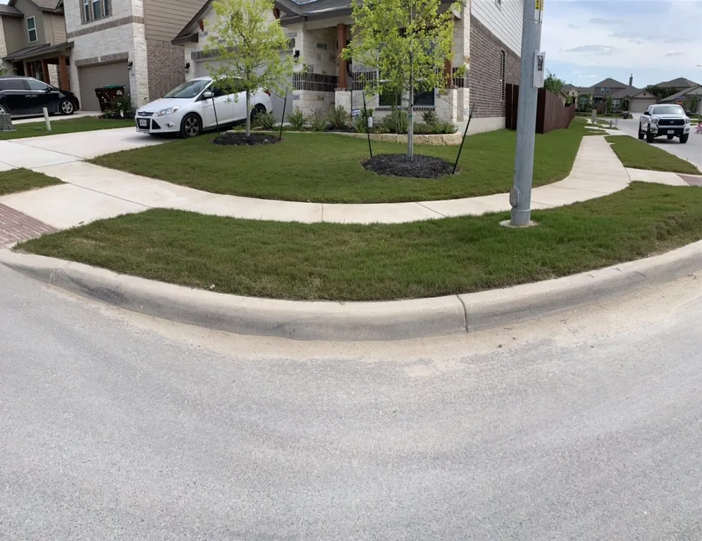 Local yard cleanup service in San Antonio, TX - Gorilla Tree & Lawn