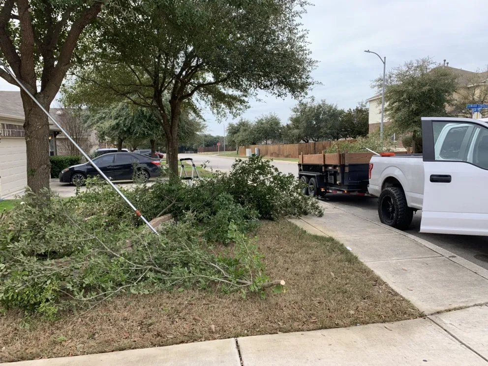 Reliable landscape installation in San Antonio, TX - Gorilla Tree & Lawn