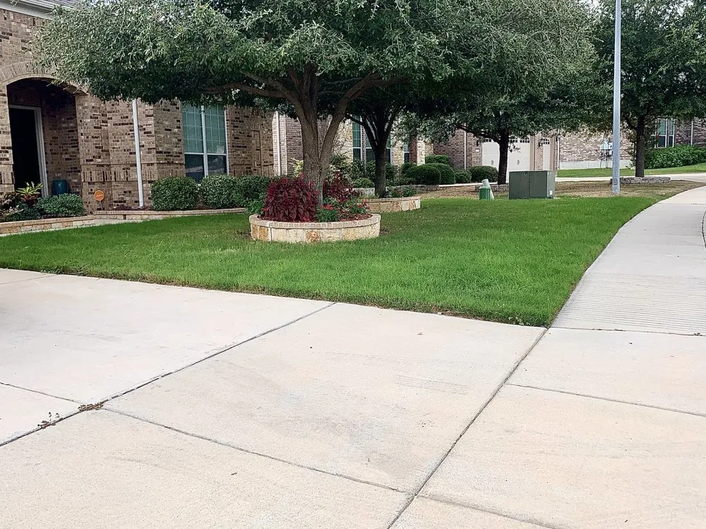 Reliable landscape design experts serving San Antonio, TX - Gorilla Tree & Lawn