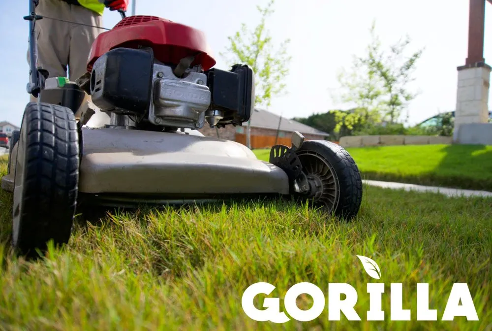 Reliable yard cleanup service in San Antonio, TX - Gorilla Tree & Lawn