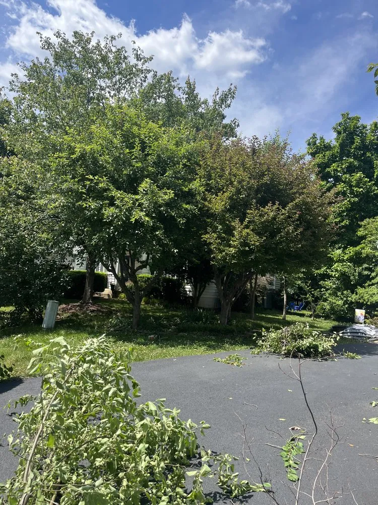 Custom garden landscaping in Spotsylvania Courthouse, VA by Gorilla Tree Service