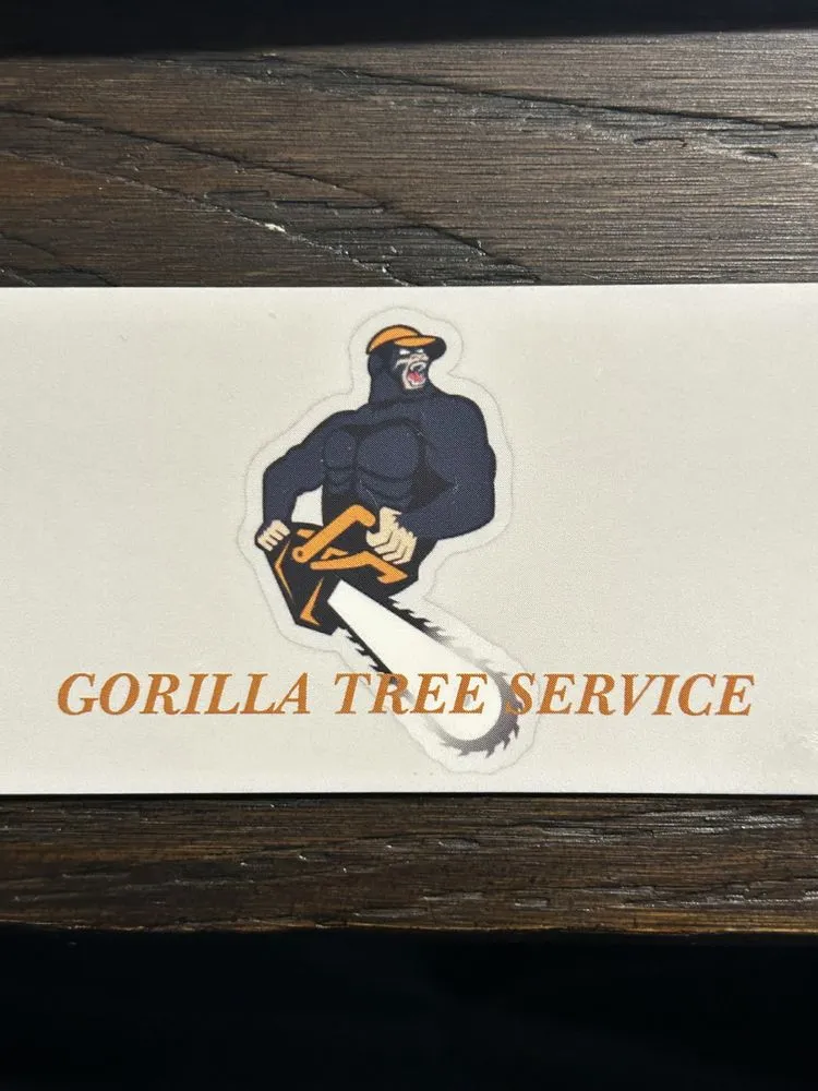 Expert outdoor landscaping in Spotsylvania Courthouse, VA by Gorilla Tree Service