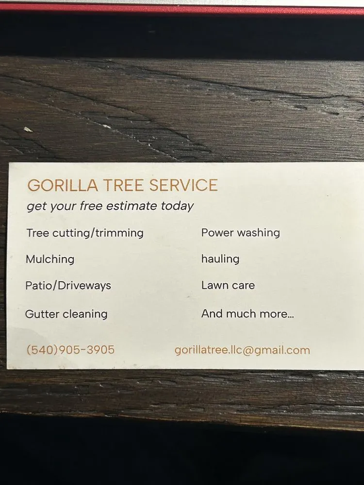 Custom landscape installation experts serving Spotsylvania Courthouse, VA - Gorilla Tree Service