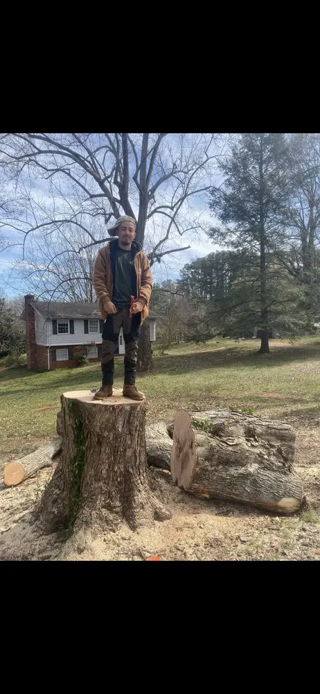 Custom landscape design for residential properties across Spotsylvania Courthouse, VA - Gorilla Tree Service