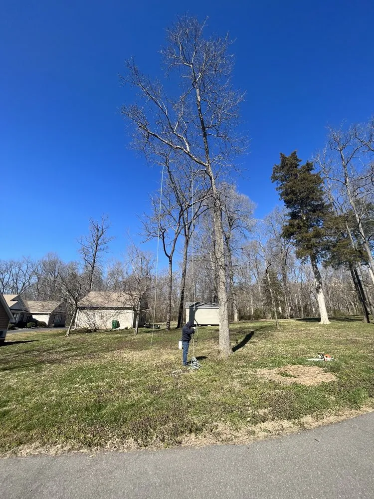 Professional residential landscaping experts serving Spotsylvania Courthouse, VA - Gorilla Tree Service