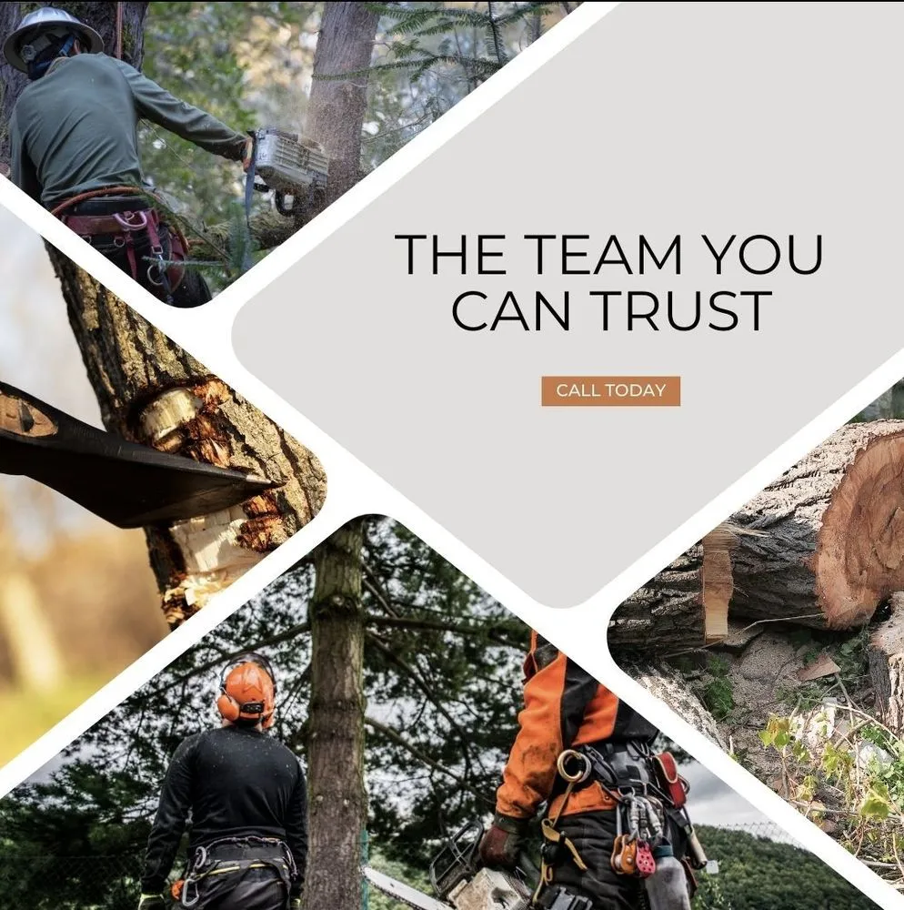 Top-rated landscape installation in Spotsylvania Courthouse, VA - Gorilla Tree Service