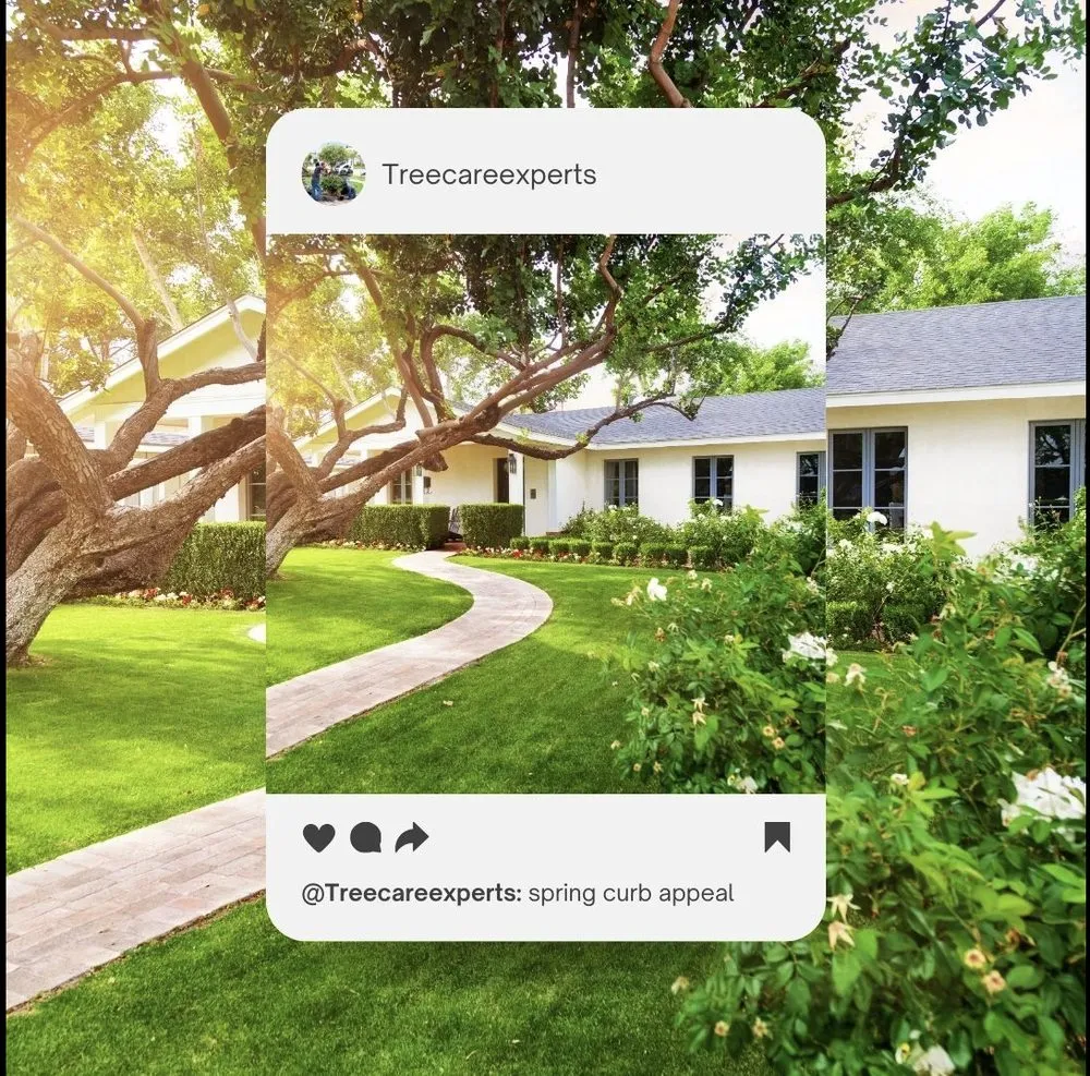 Trusted outdoor landscaping for homes in Spotsylvania Courthouse, VA by Gorilla Tree Service