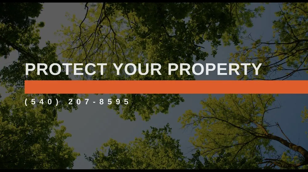 Reliable outdoor landscaping for year-round maintenance in Spotsylvania Courthouse, VA by Gorilla Tree Service