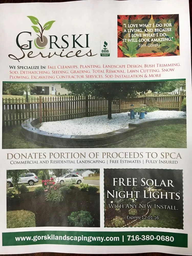 Trusted yard cleanup service for year-round maintenance in Buffalo, NY by Gorski Landscape Services