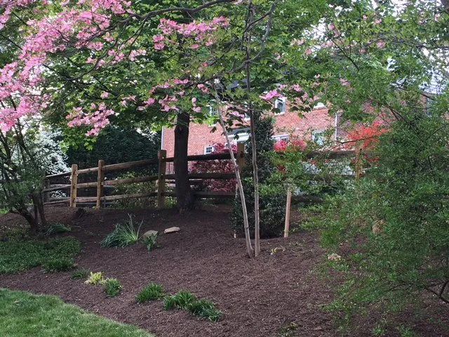Top-rated yard cleanup service with custom design across BROOKEVILLE, MD - Goshen Enterprises