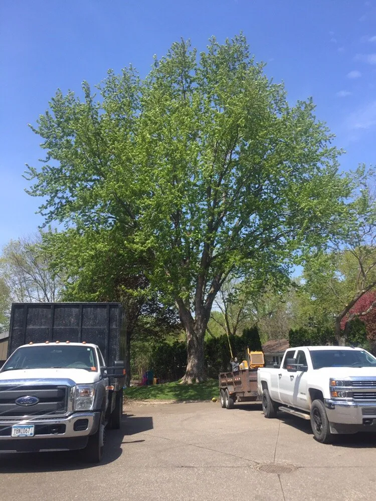 Professional lawn care service near you across New Brighton, MN - Gosiak Tree Service