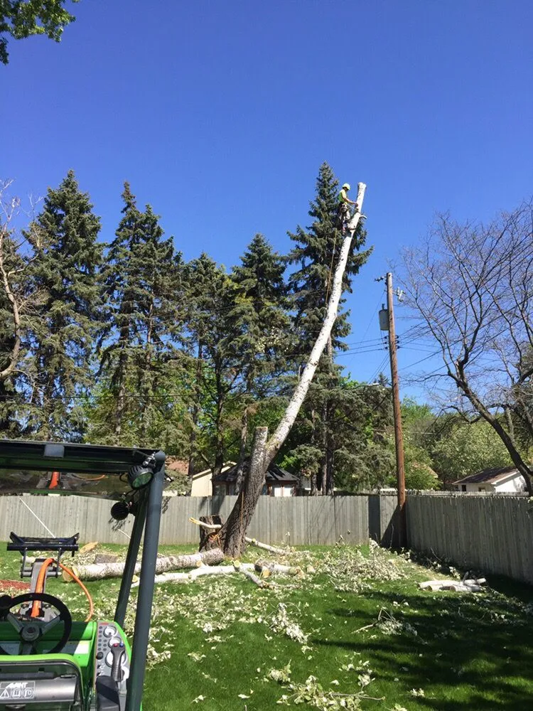 Trusted garden landscaping in New Brighton, MN - Gosiak Tree Service