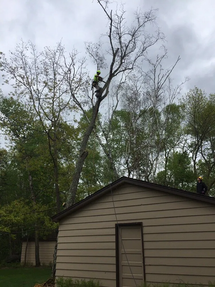 Affordable landscape installation in New Brighton, MN - Gosiak Tree Service