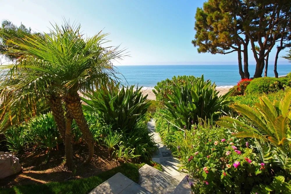 Reliable landscaping services experts serving Santa Barbara, CA - Gosnell Tree & Landscape
