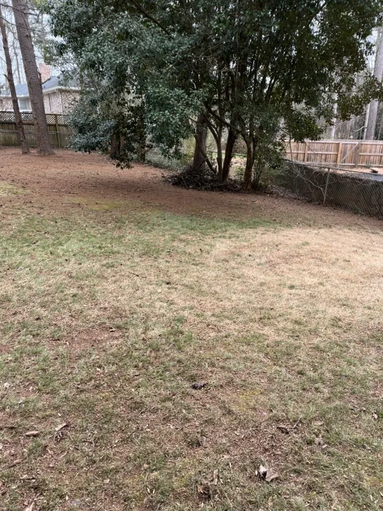 Professional lawn care service experts serving Kennesaw, GA - Gossett's Lawn Care