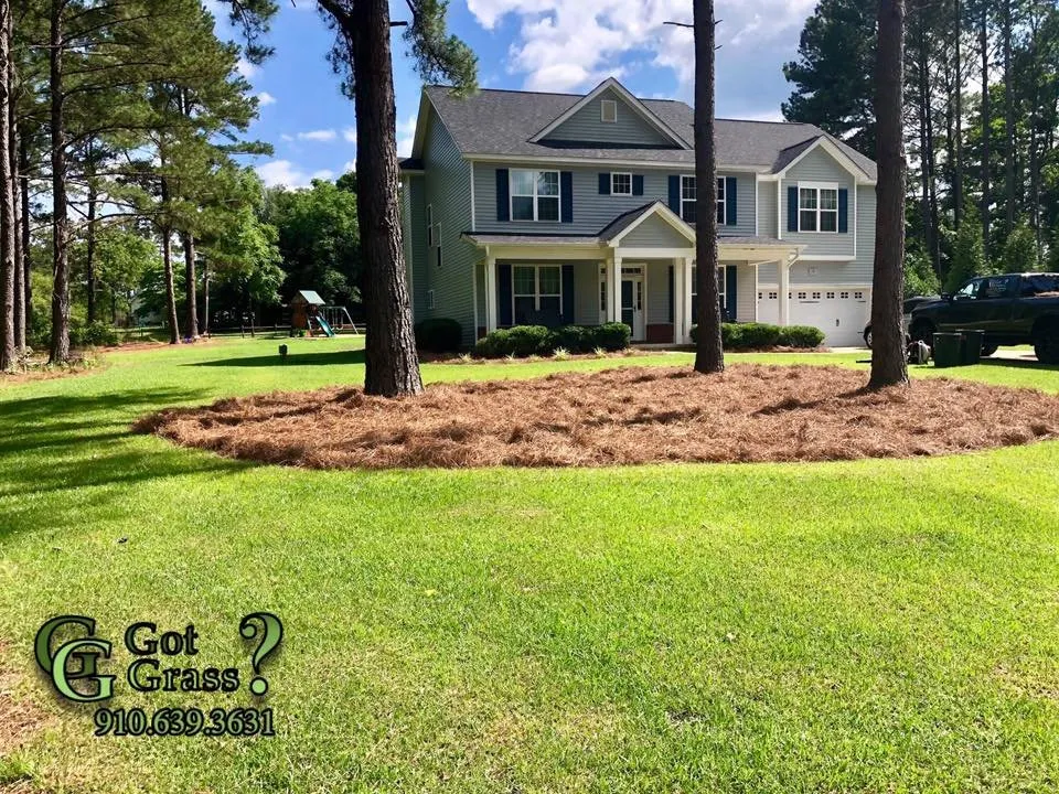 Professional landscape design for beautiful yards across Pinehurst, NC - Got Grass Lawn Care Service