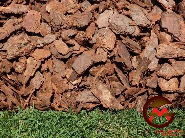 Professional landscape design in Norcross, GA by Got Mulch