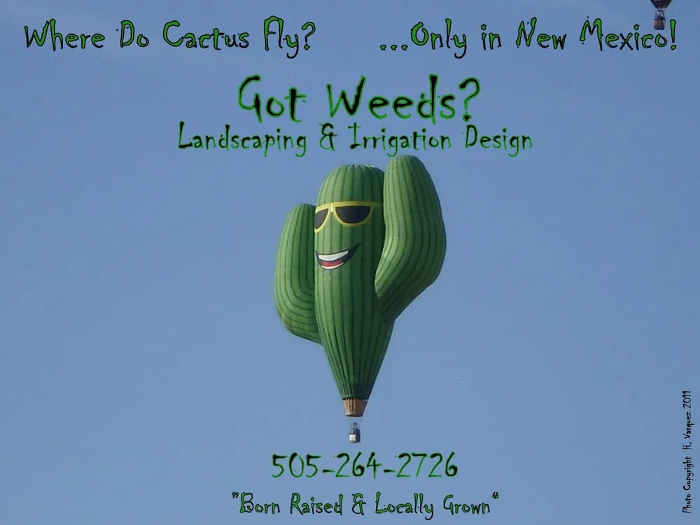 Local landscape design experts serving Santa Fe, NM - Got Weeds? Landscaping & Irrigation Design Co.