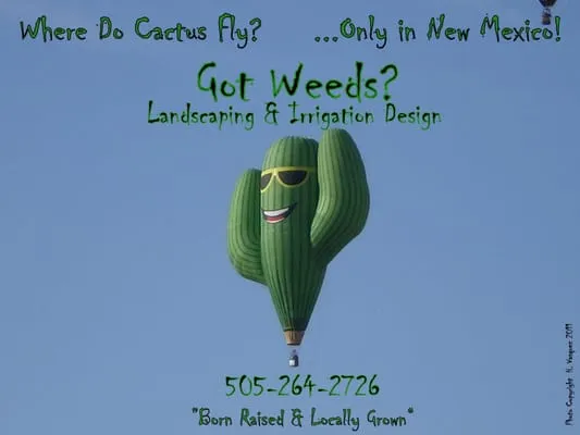 Got Weeds? Landscaping & Irrigation Design Co. Logo