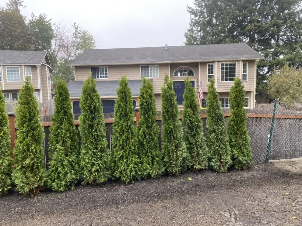 Affordable outdoor landscaping for year-round maintenance in Marysville, WA by Got Yard
