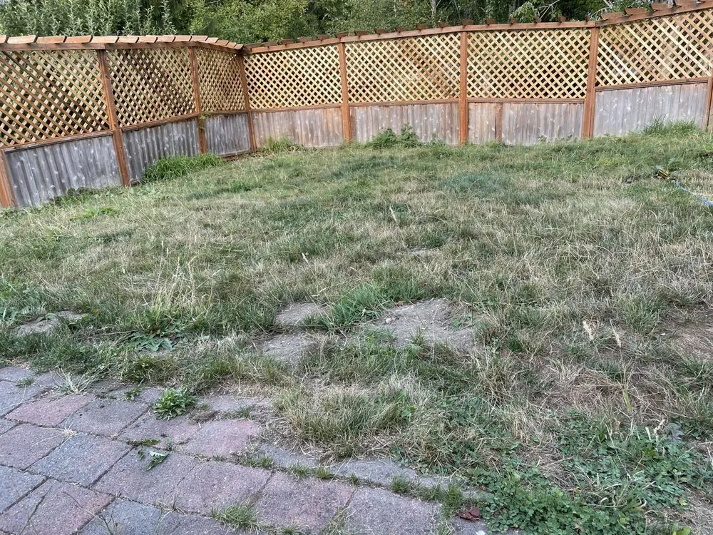 Affordable garden landscaping in Marysville, WA by Got Yard