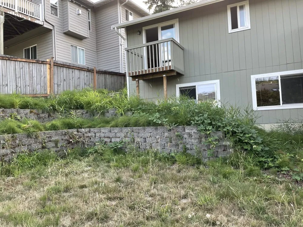 Professional landscape design in Marysville, WA - Got Yard