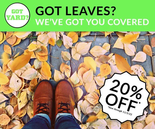 Expert landscaping services near you in Marysville, WA by Got Yard