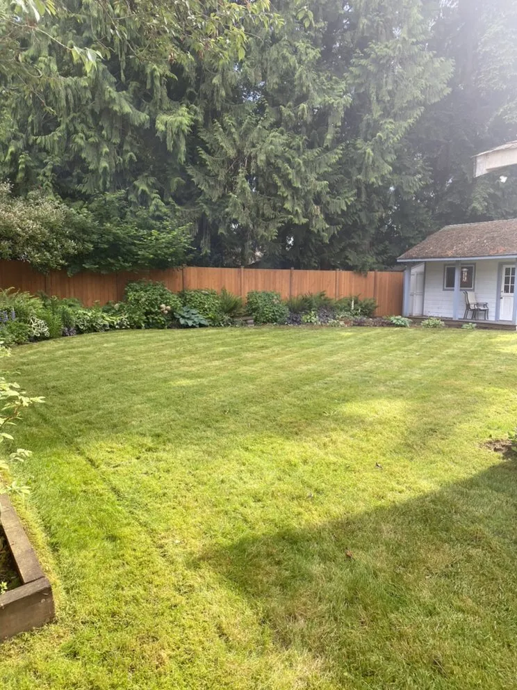 Reliable yard cleanup service for residential properties across Marysville, WA - Got Yard
