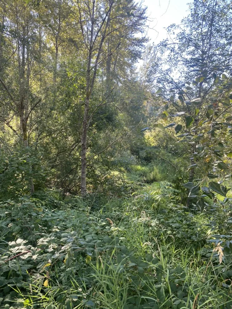 Custom outdoor landscaping experts serving Marysville, WA - Got Yard