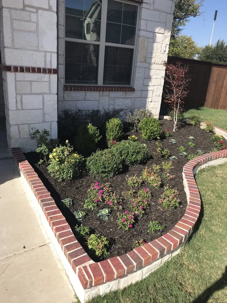 Trusted yard cleanup service in Frisco, TX by Got Your 6 Landscaping