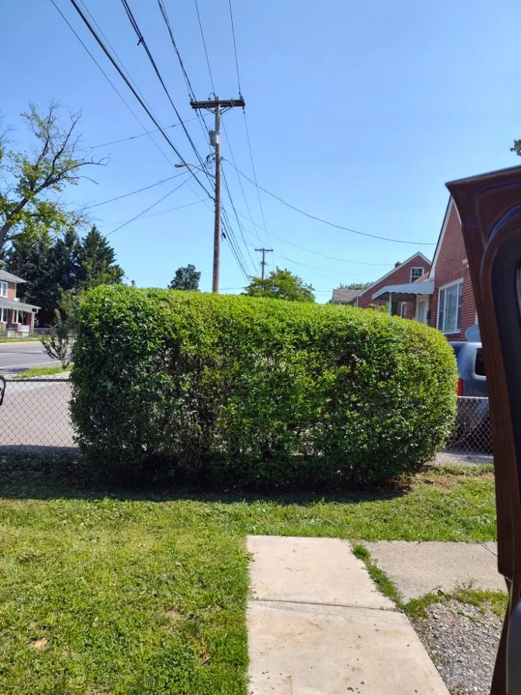 Trusted yard cleanup service with custom design in Roanoke, VA by Got Your Back 101