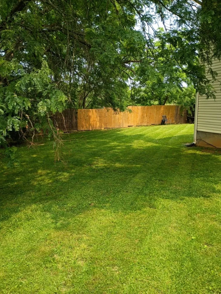 Affordable lawn mowing service for year-round maintenance across Roanoke, VA - Got Your Back 101