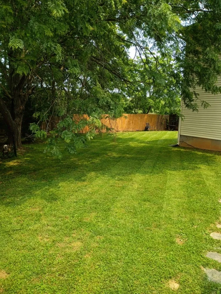 Affordable yard maintenance for homes in Roanoke, VA by Got Your Back 101