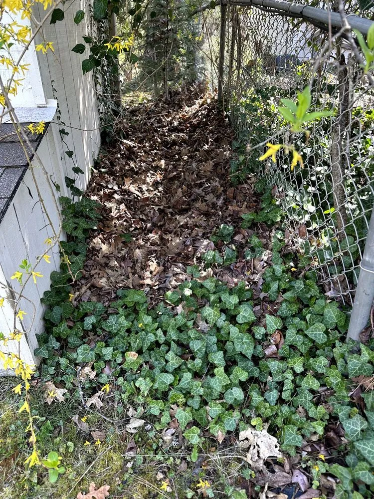 Top-rated lawn care service for residential properties in White City, OR by Gotcha Landscape Maintenance