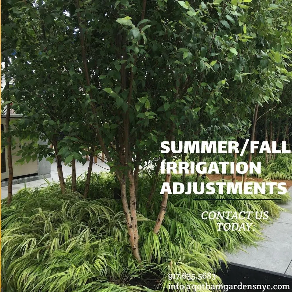 Expert landscaping services in Brooklyn, NY by Gotham Gardens NYC