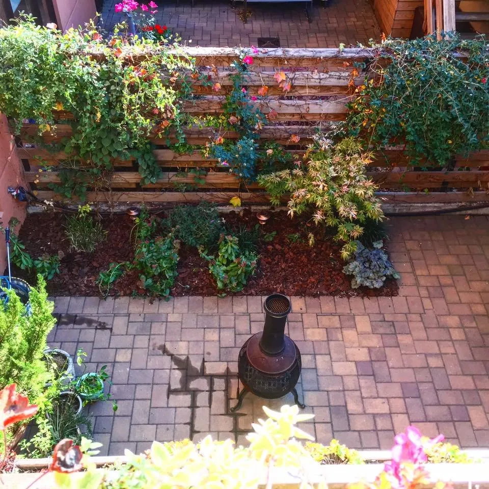 Affordable yard maintenance experts serving Brooklyn, NY - Gotham Gardens NYC