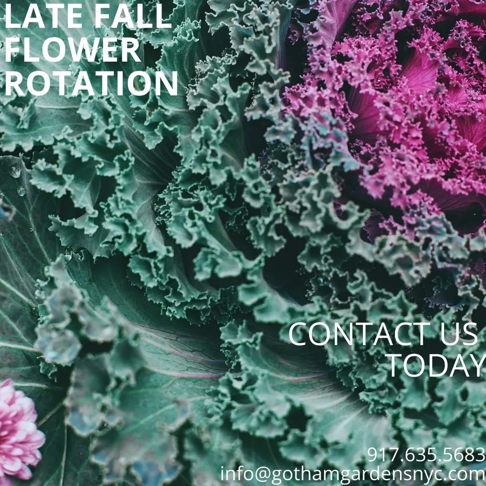 Professional garden landscaping in Brooklyn, NY - Gotham Gardens NYC