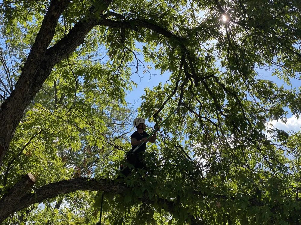 Top-rated garden landscaping in San Antonio, TX - Gotham Tree Service