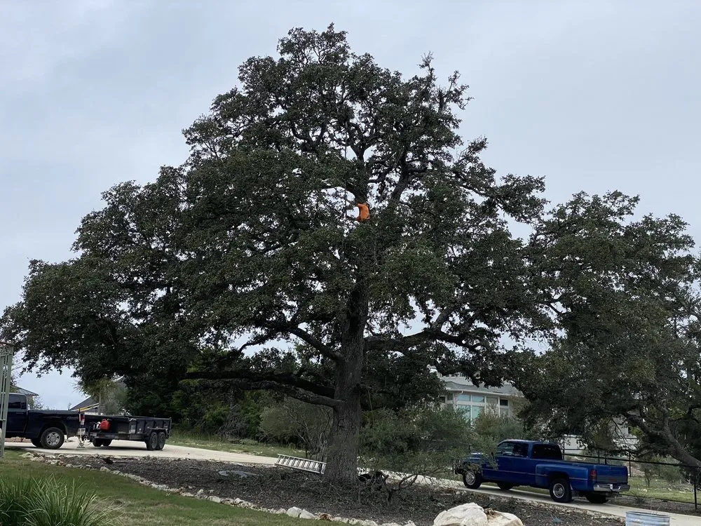 Custom outdoor landscaping with custom design in San Antonio, TX by Gotham Tree Service