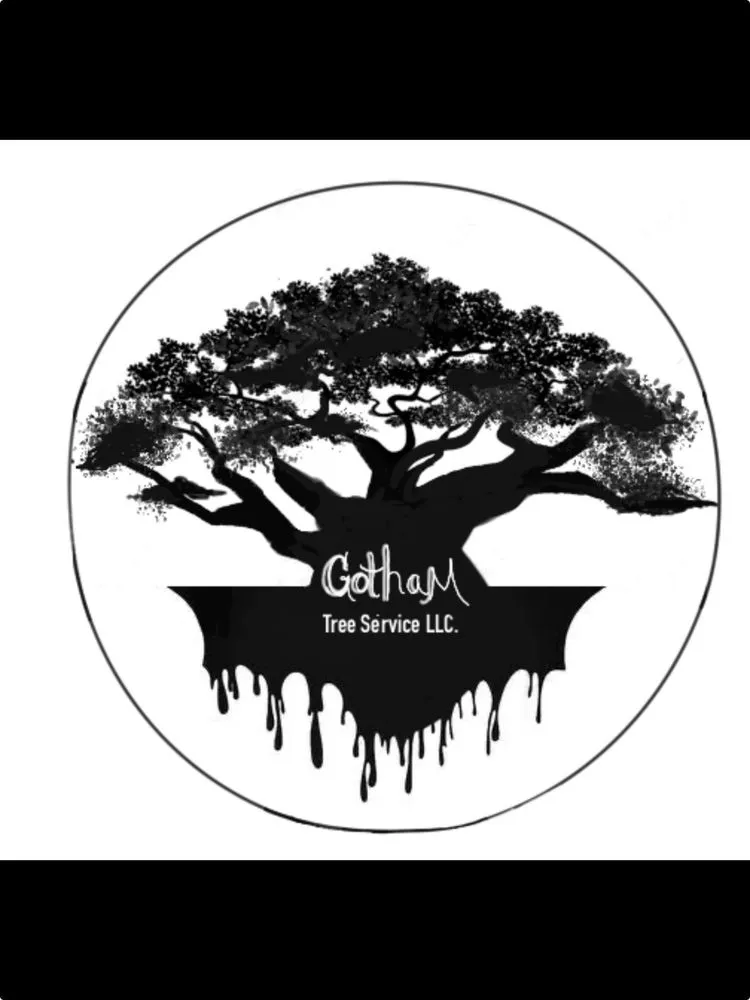 Local yard maintenance for outdoor upgrades in San Antonio, TX by Gotham Tree Service