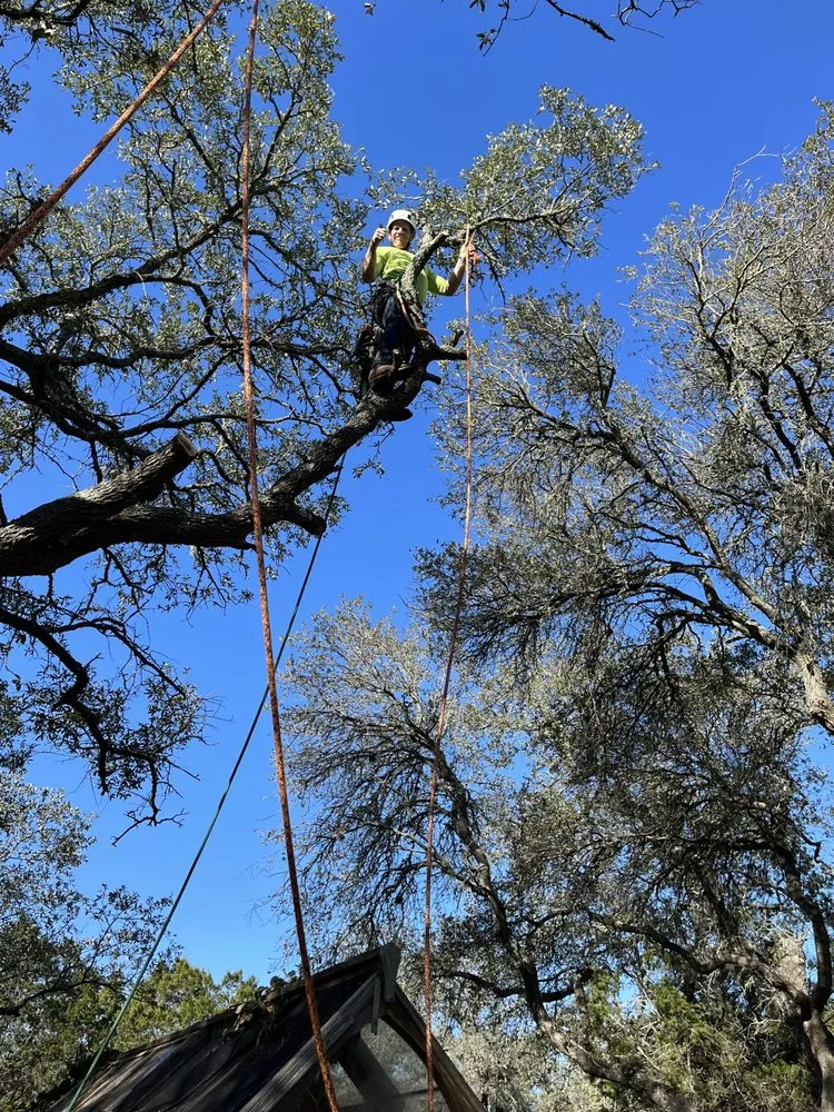 Professional outdoor landscaping in San Antonio, TX - Gotham Tree Service