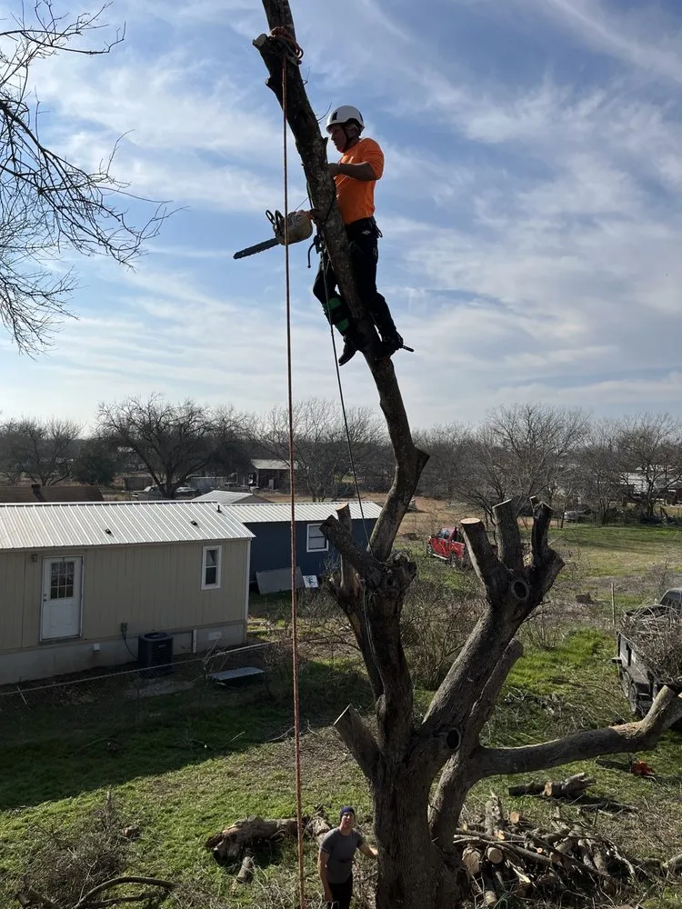 Reliable outdoor landscaping near you across San Antonio, TX - Gotham Tree Service