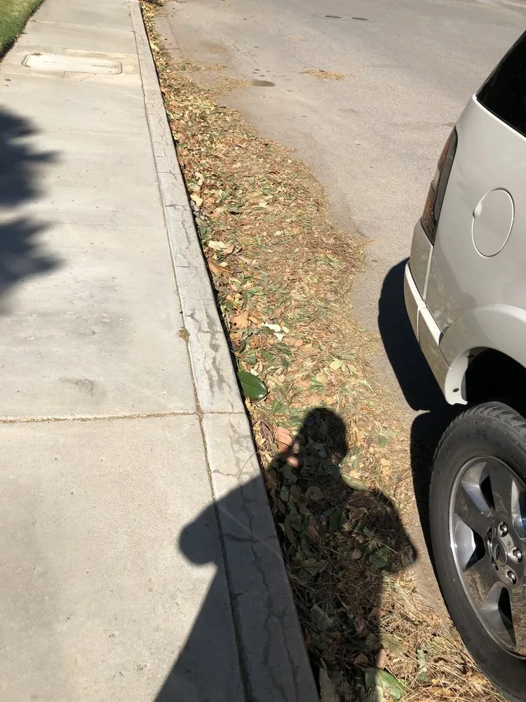 Trusted yard maintenance with custom design across Santa Clarita, CA - Gothic Grounds Management