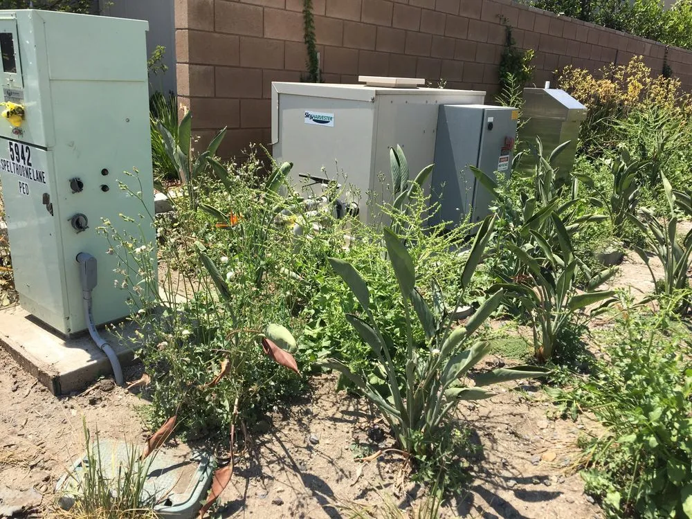 Expert lawn mowing service in Santa Clarita, CA by Gothic Grounds Management