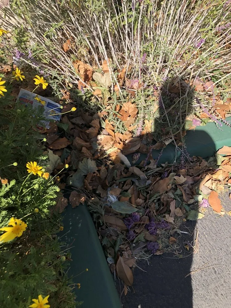 Reliable landscaping services experts serving Santa Clarita, CA - Gothic Grounds Management