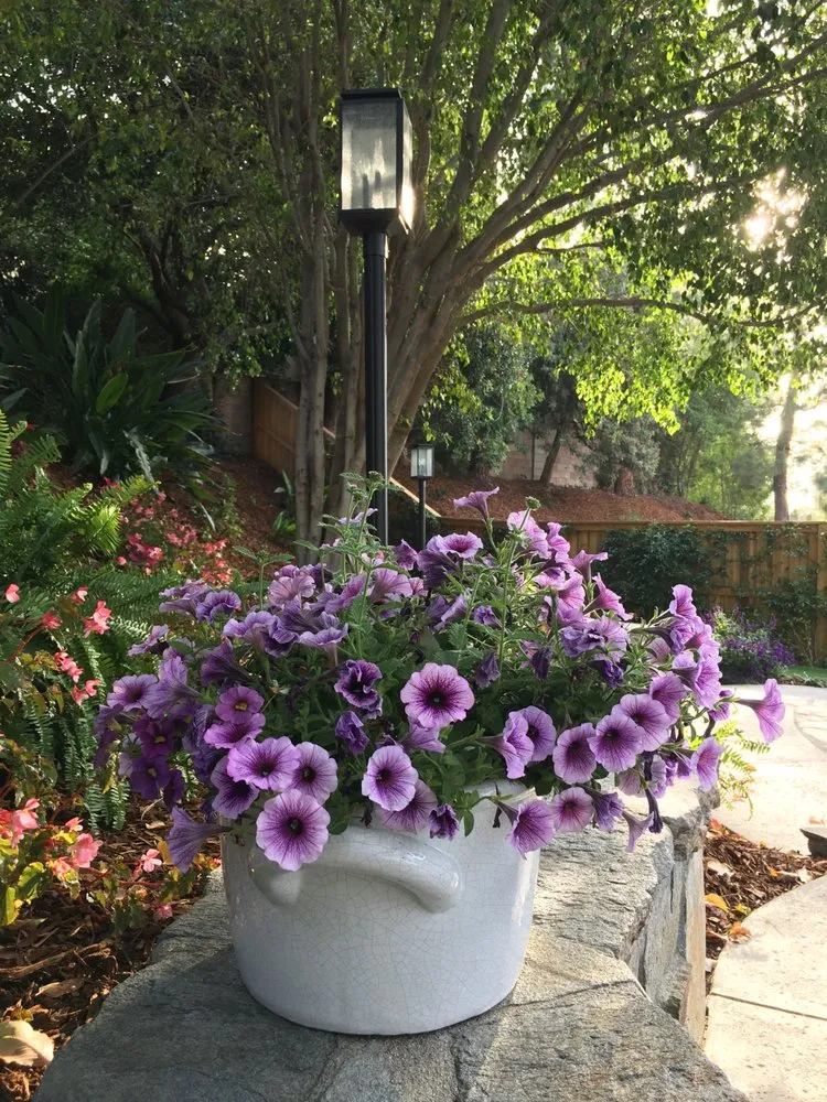 Professional lawn care service in Santa Clarita, CA - Gothic Grounds Management