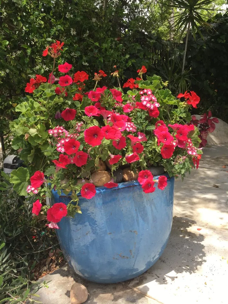 Professional landscaping services for year-round maintenance across Santa Clarita, CA - Gothic Grounds Management